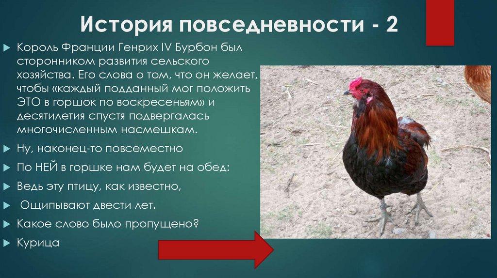 История повседневности - 2