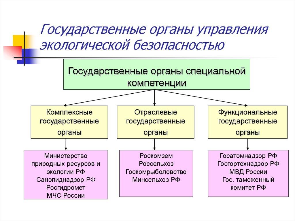 Государственные органы управления экологической безопасностью