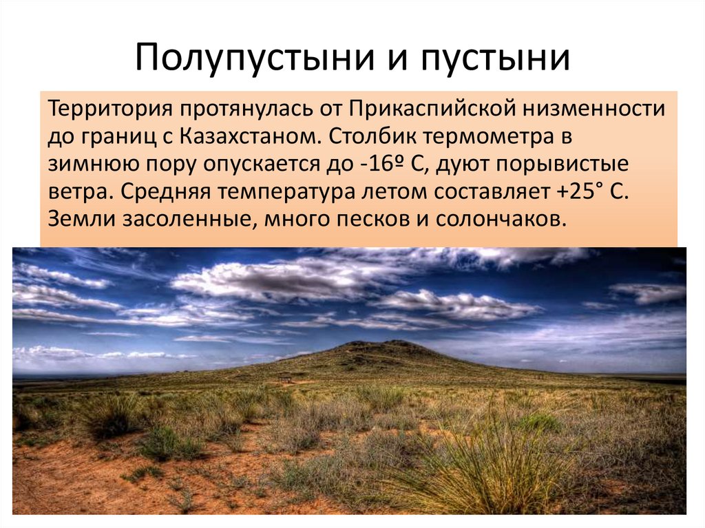 Полупустыни и пустыни