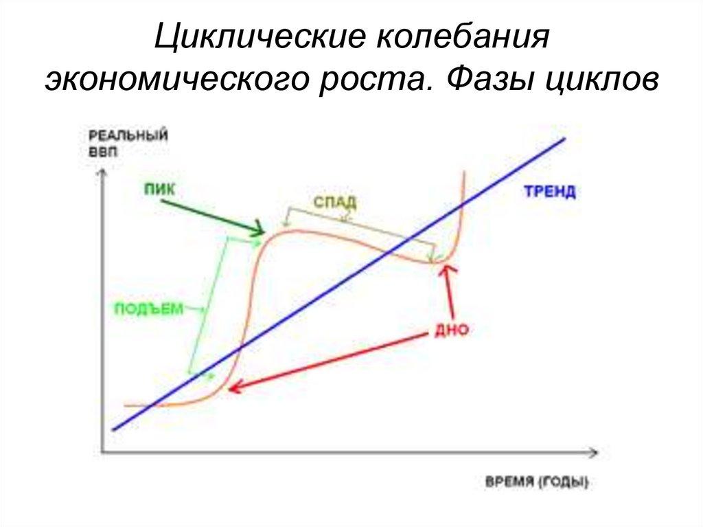 Циклические колебания экономического роста. Фазы циклов