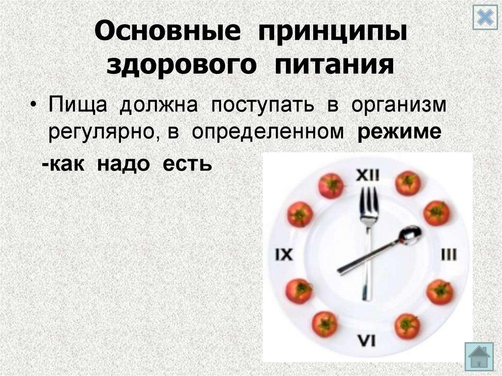 Основные принципы здорового питания