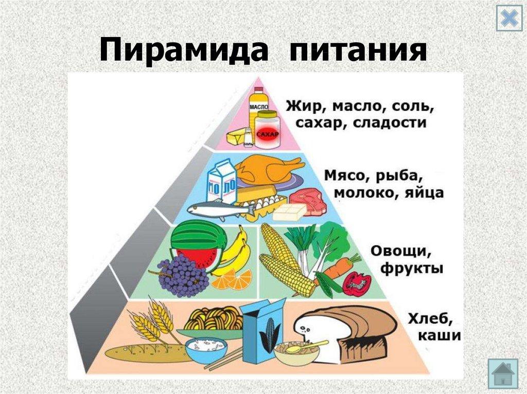 Пирамида питания