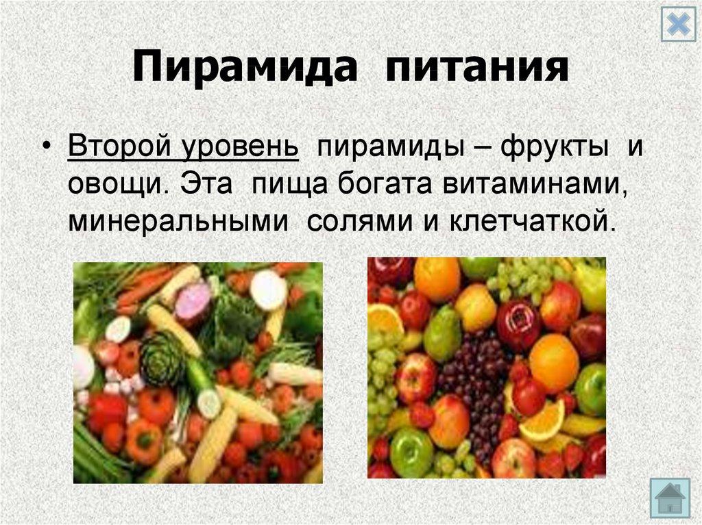 Пирамида питания