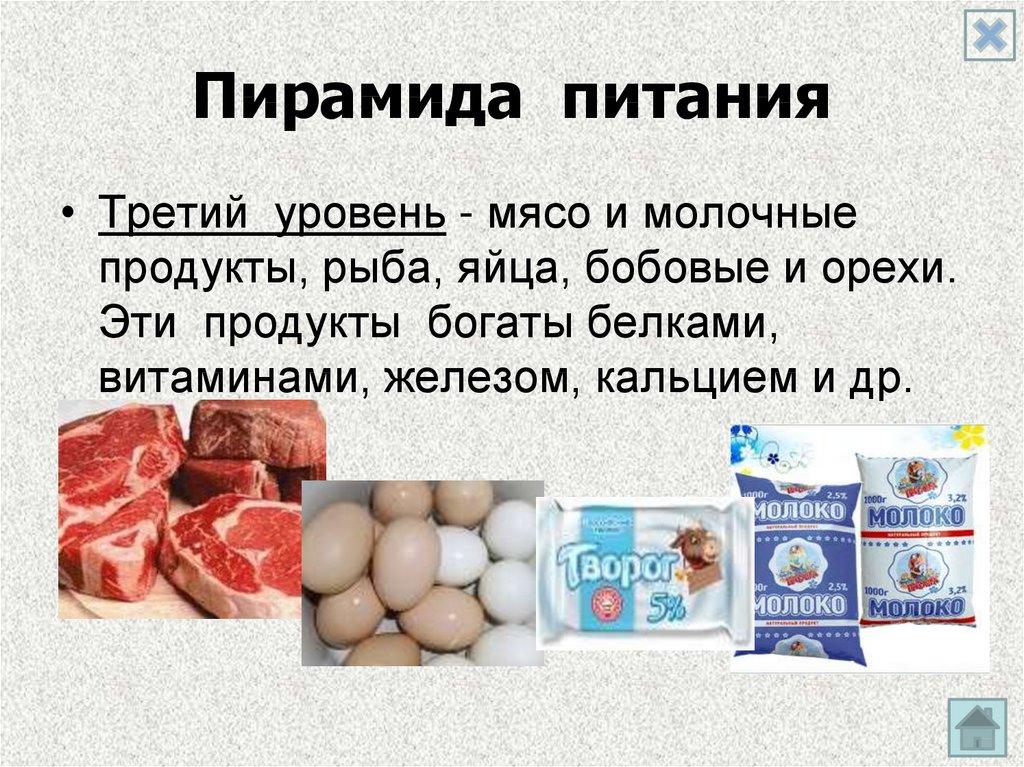 Пирамида питания