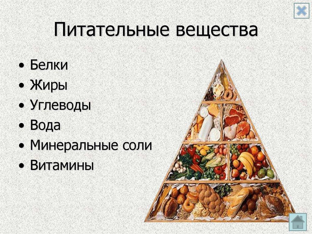 Питательные вещества