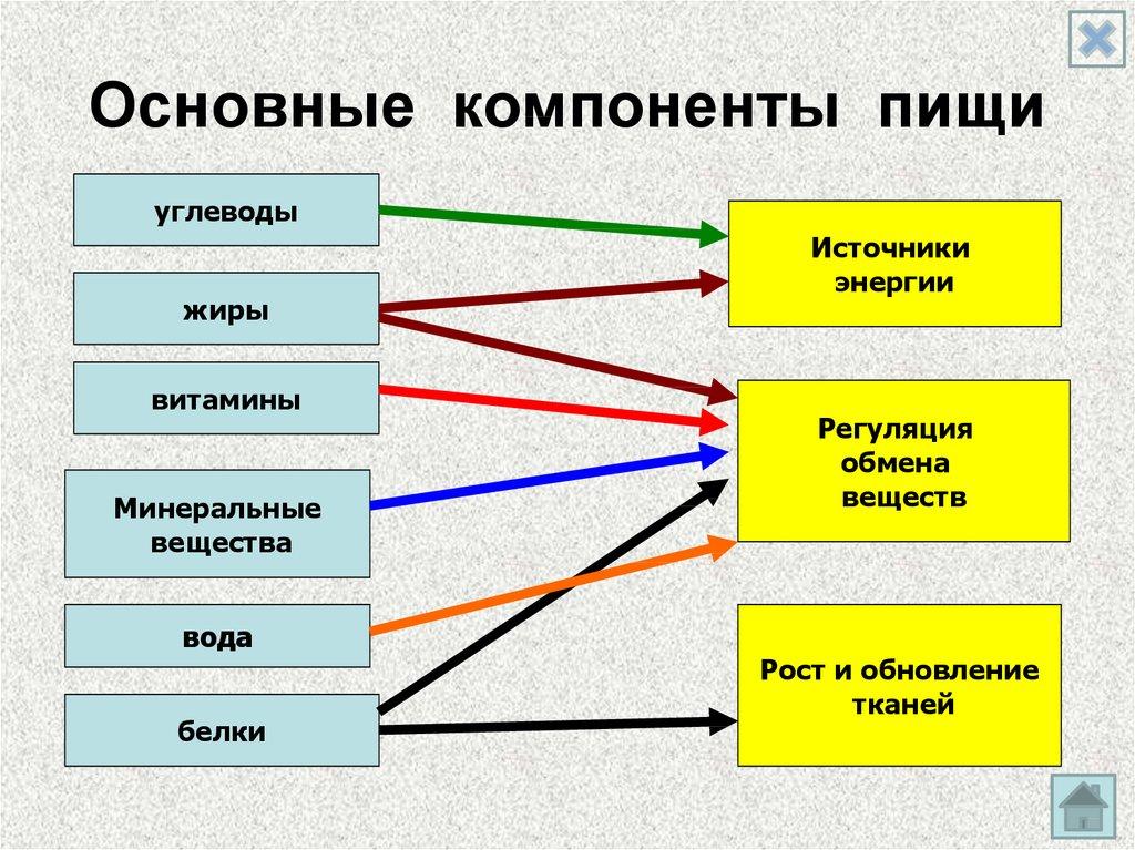 Основные компоненты пищи