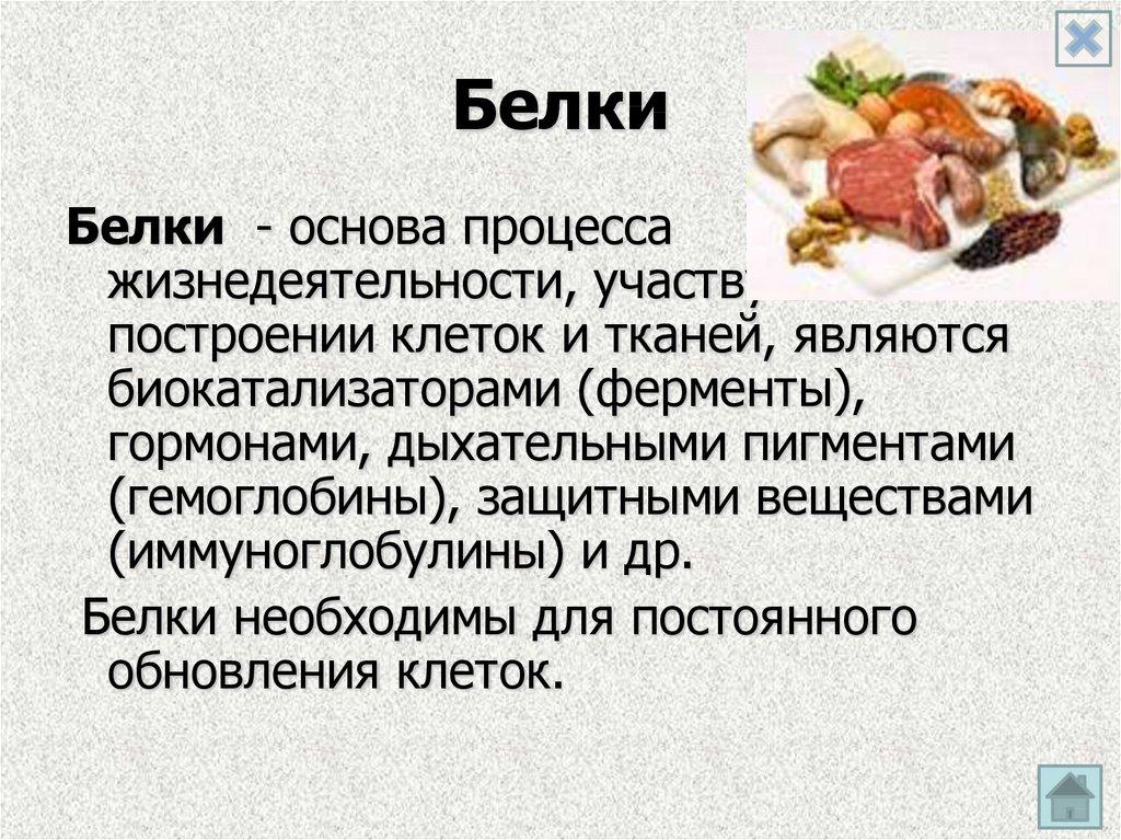 Белки