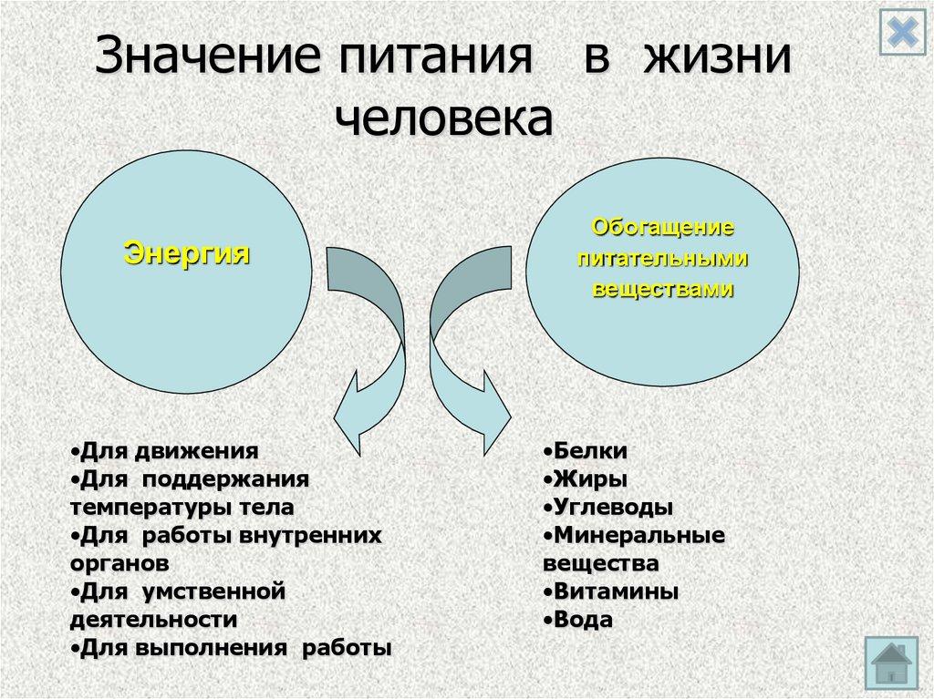 Значение питания в жизни человека