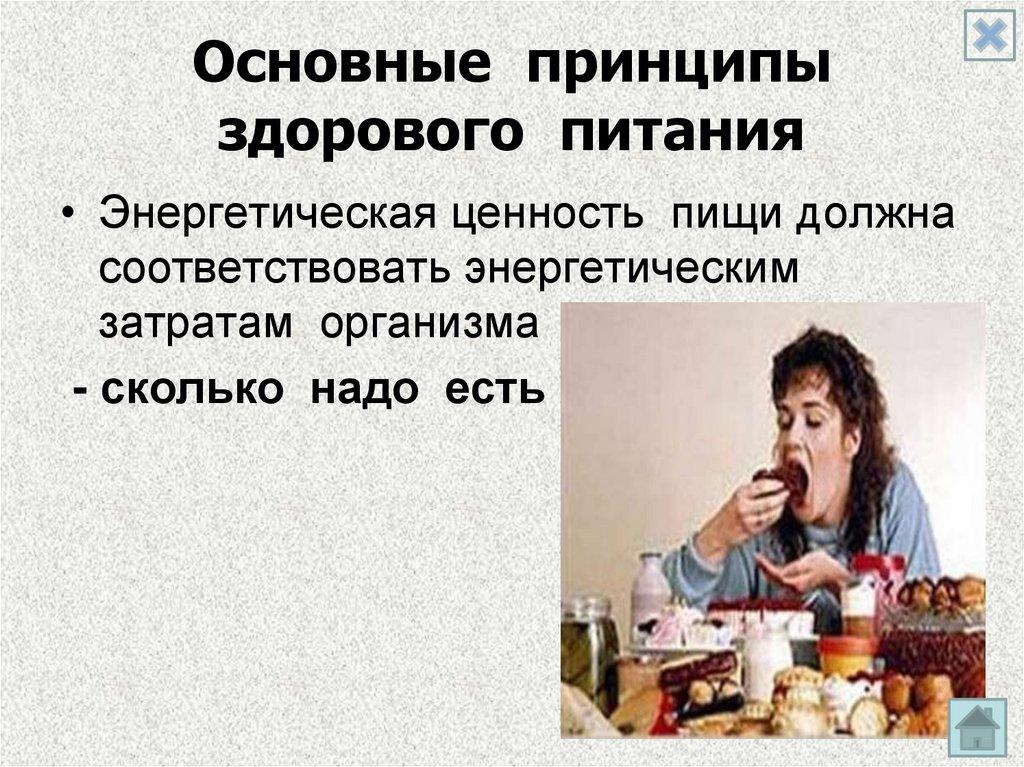 Основные принципы здорового питания