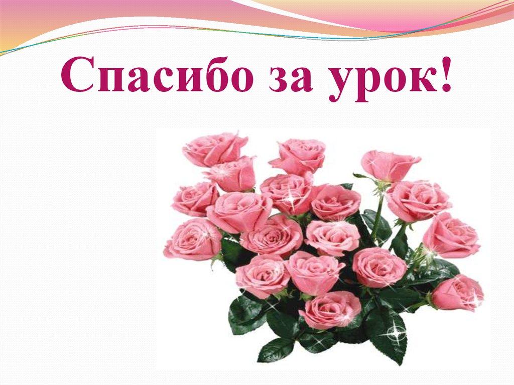 Спасибо за урок!