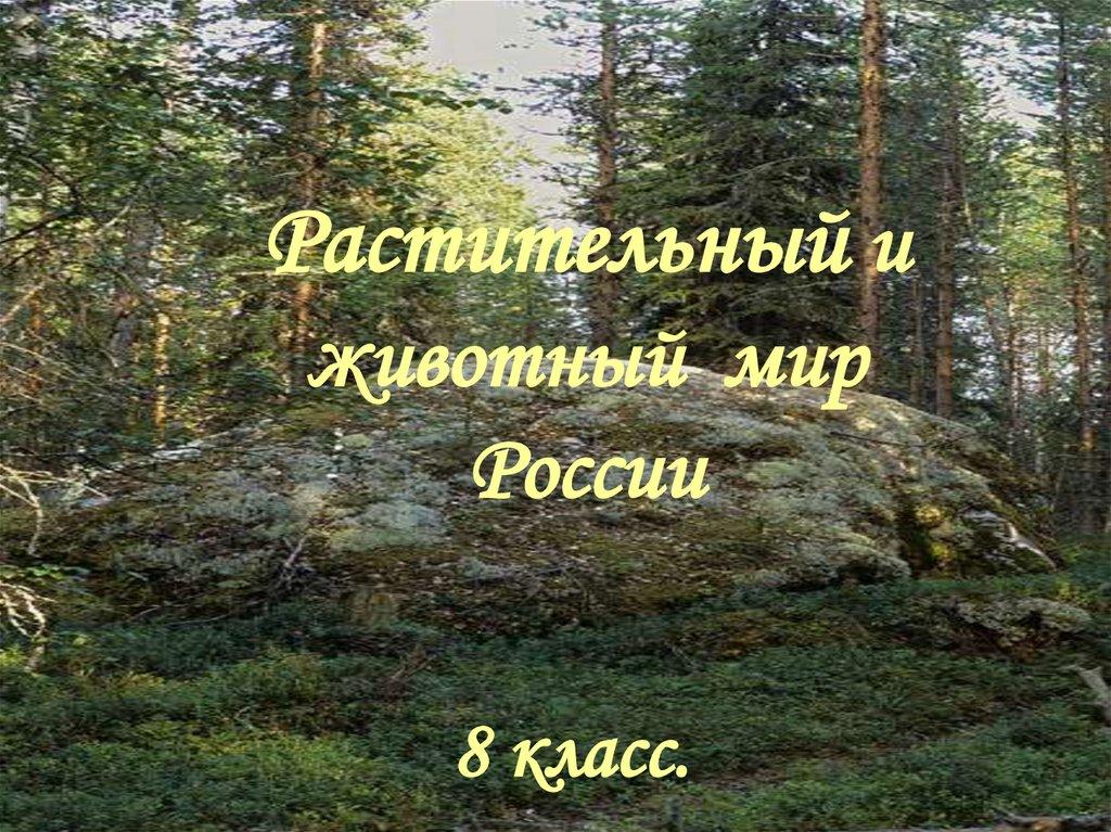 Растительный и животный мир России