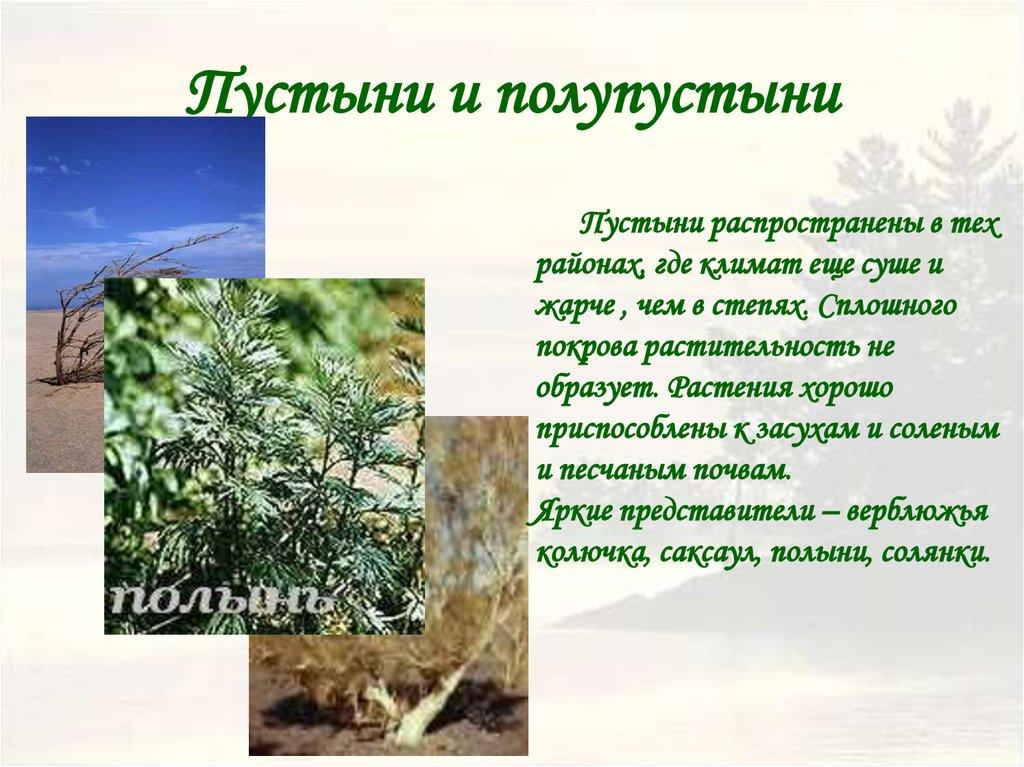 Пустыни и полупустыни