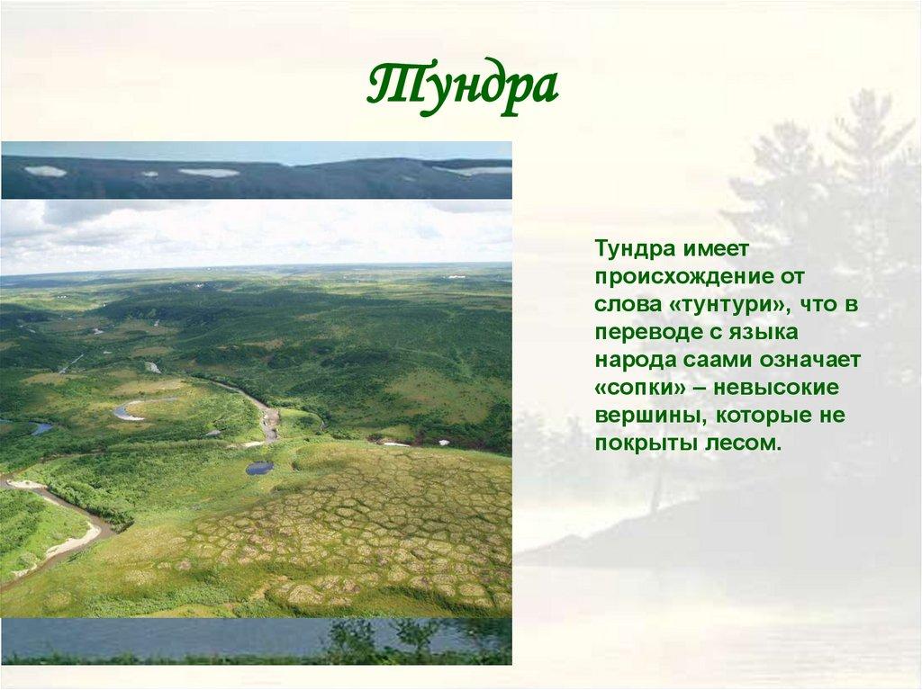 Тундра