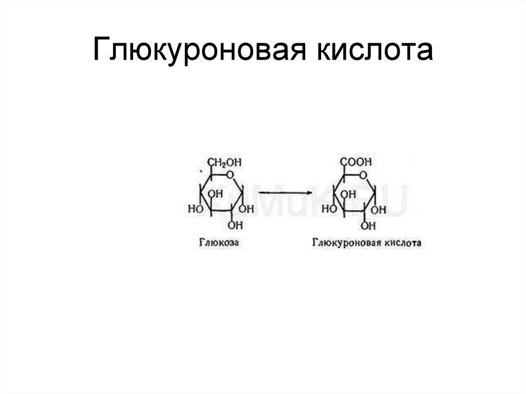Глюкуроновая кислота