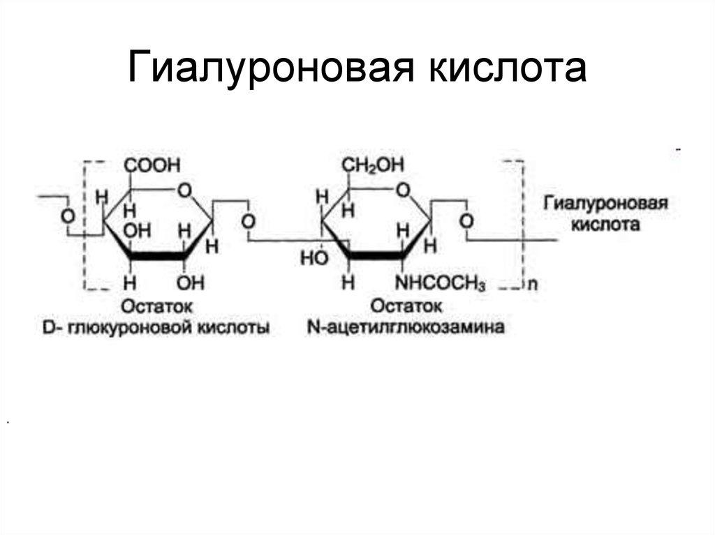 Гиалуроновая кислота