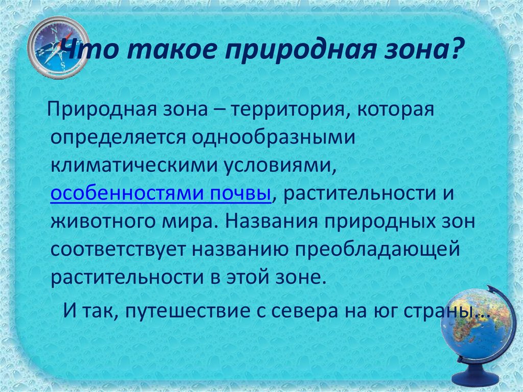 Что такое природная зона?