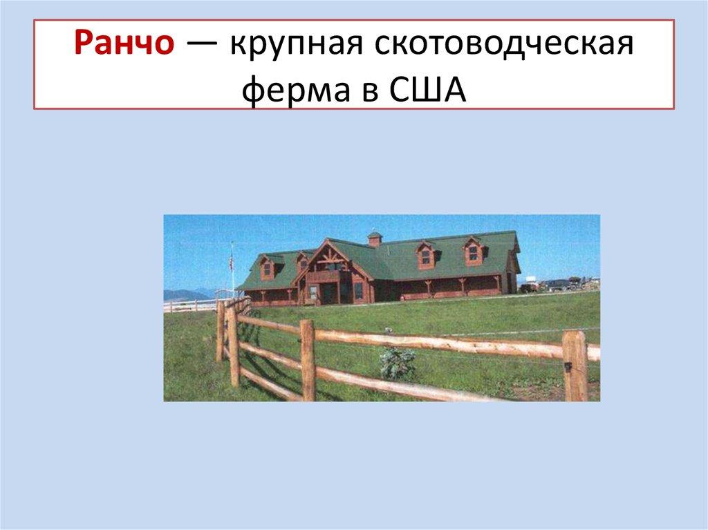 Ранчо — крупная скотоводческая ферма в США
