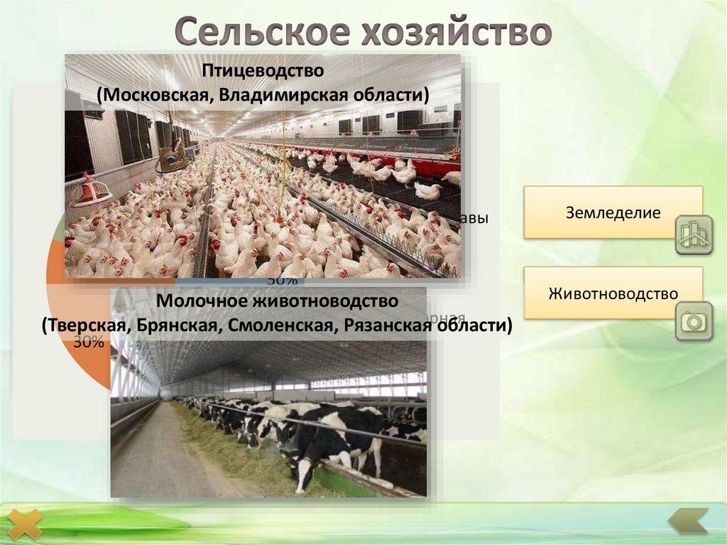 Сельское хозяйство