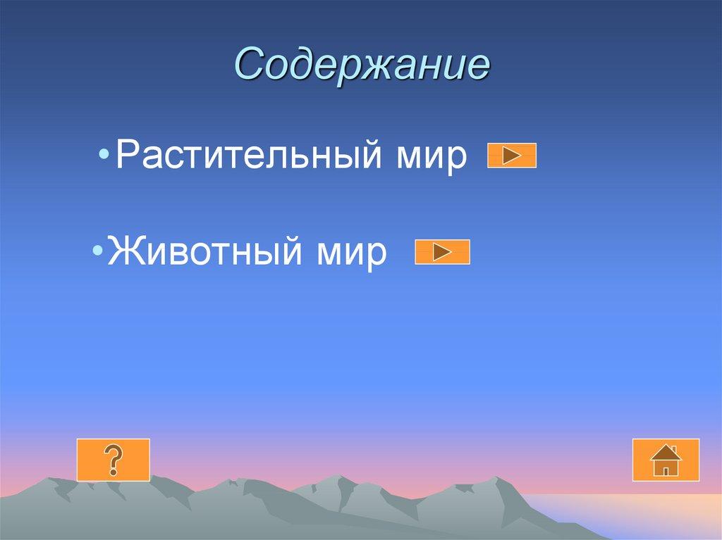 Содержание