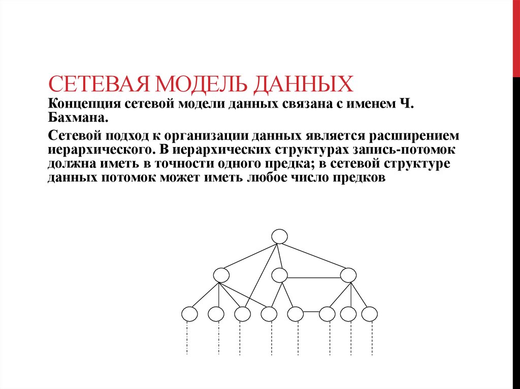 Сетевая модель данных