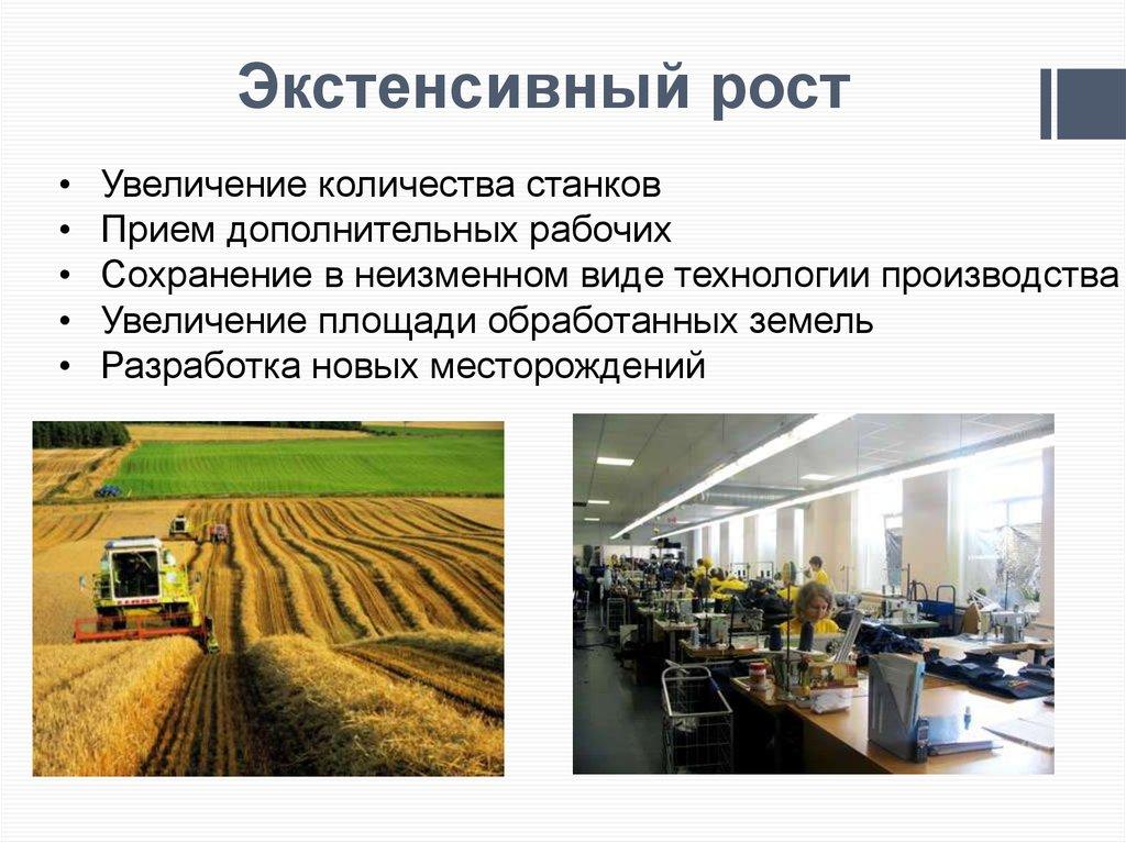 Экстенсивный рост