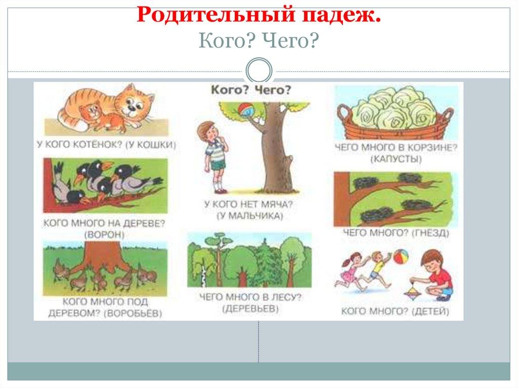 Родительный падеж. Кого? Чего?