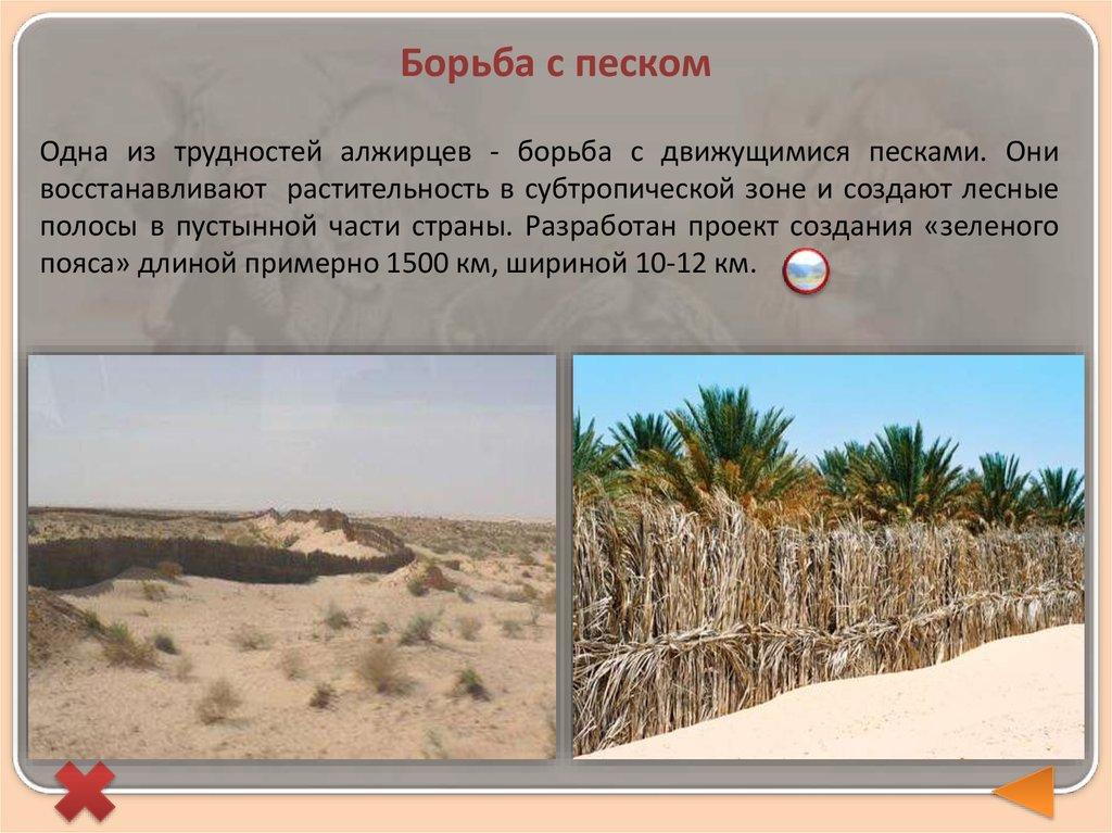 Борьба с песком