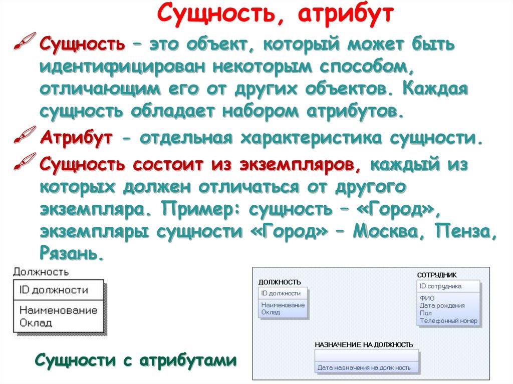 Сущность, атрибут