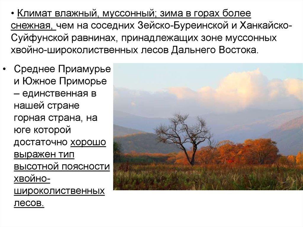 Климат влажный, муссонный; зима в горах более снежная, чем на соседних Зейско-Буреинской и Ханкайско-Суйфунской равнинах,