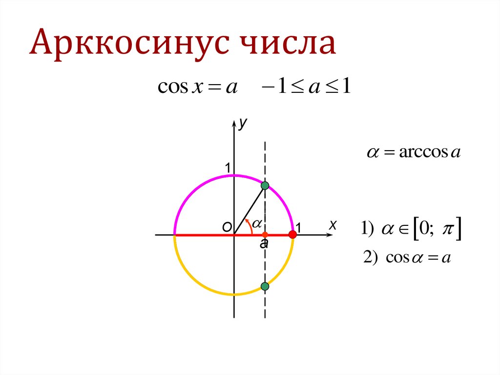 Арккосинус числа
