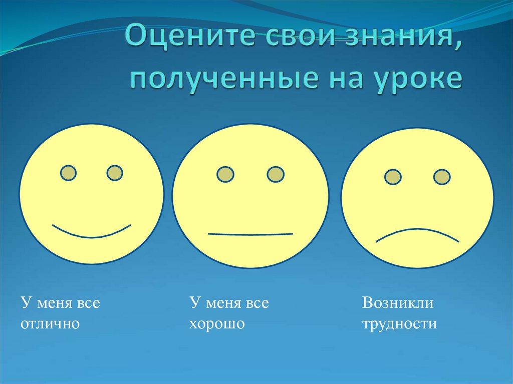 Оцените свои знания, полученные на уроке