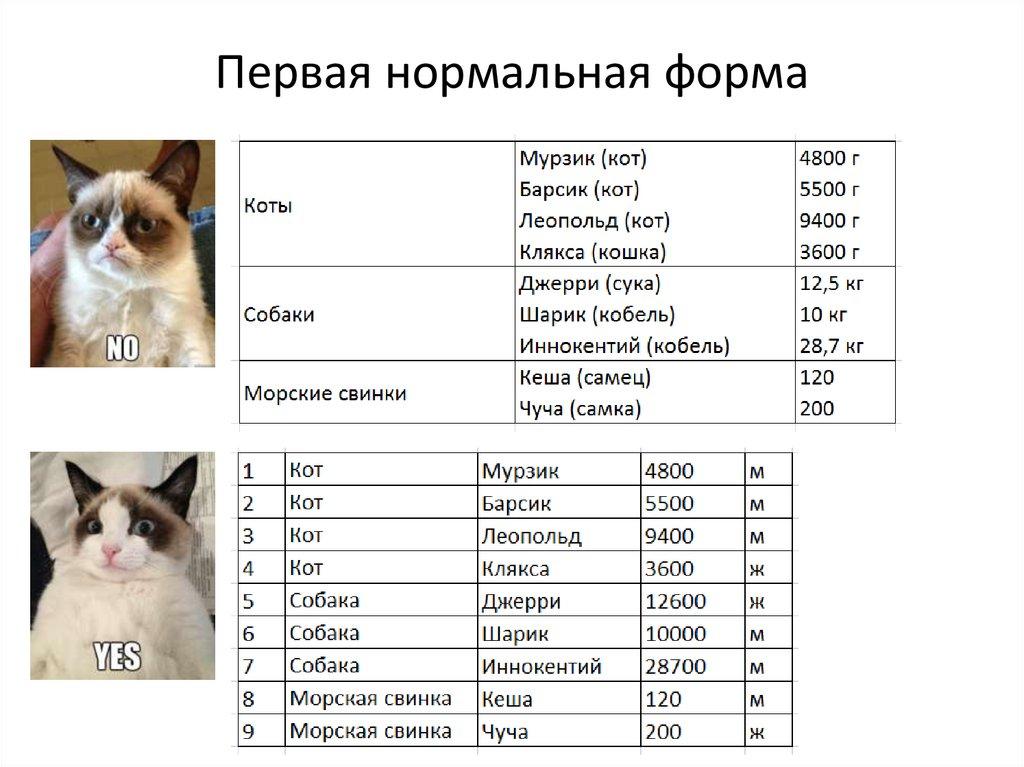 Первая нормальная форма