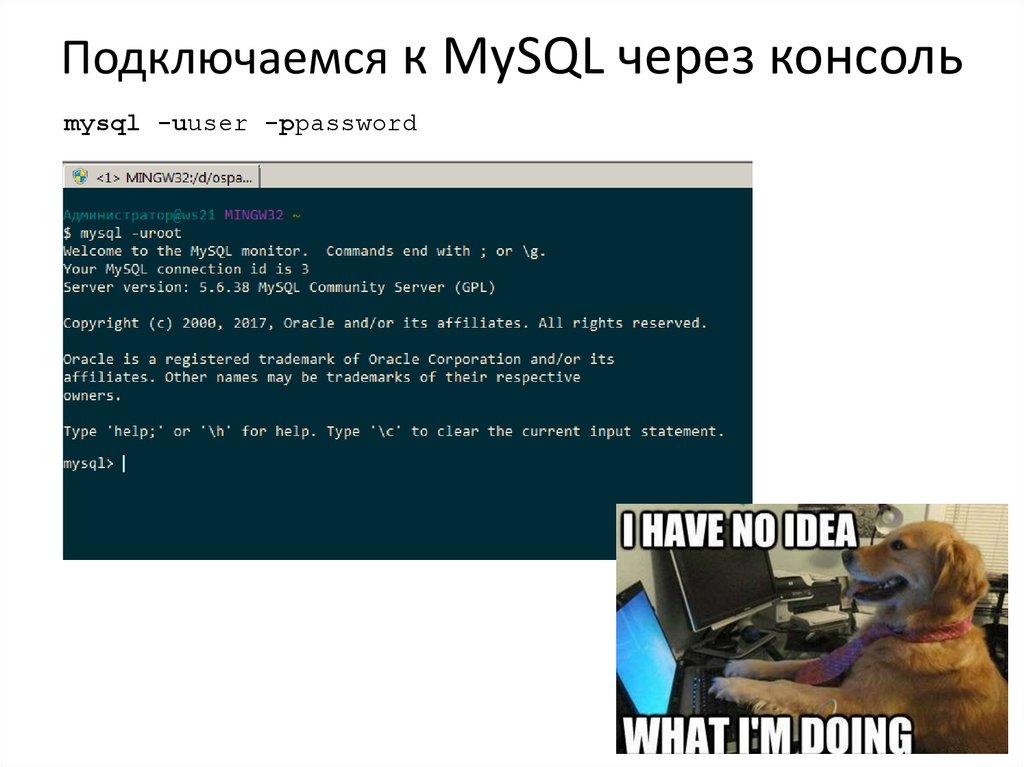 Подключаемся к MySQL через консоль