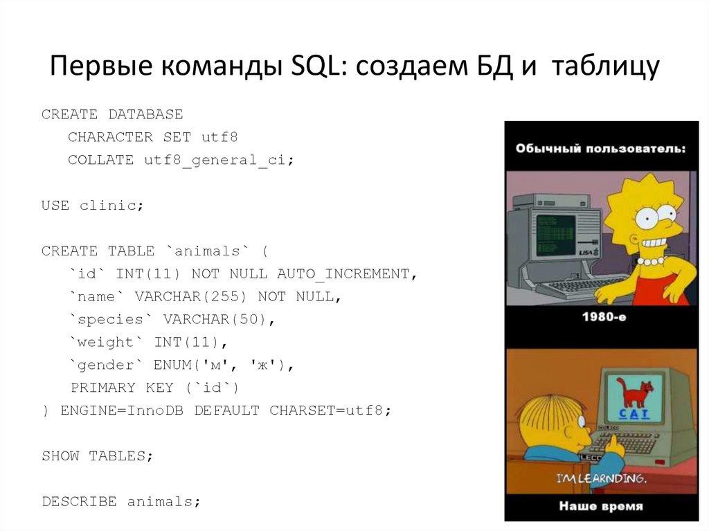 Первые команды SQL: создаем БД и таблицу