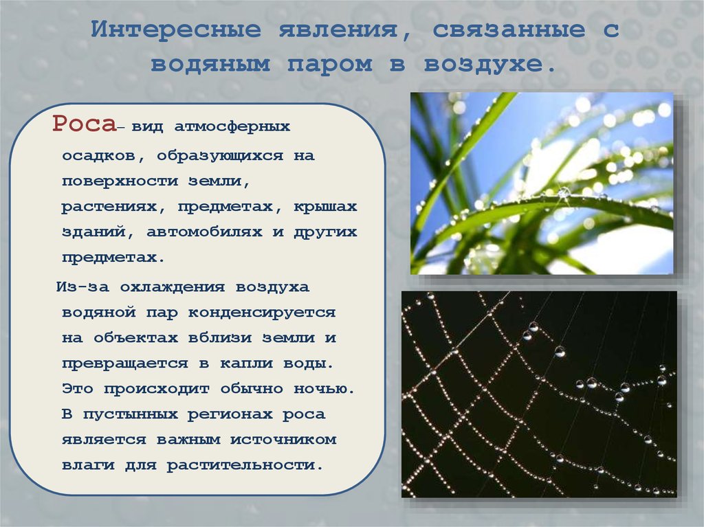 Интересные явления, связанные с водяным паром в воздухе.