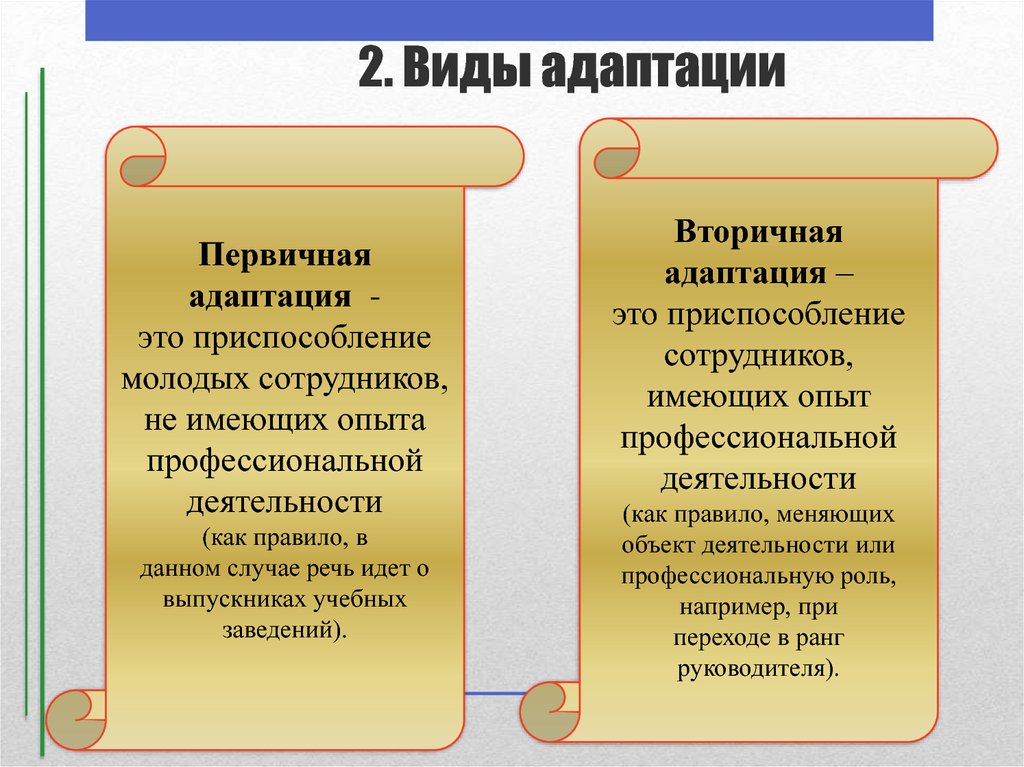2. Виды адаптации
