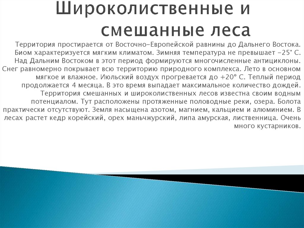 Широколиственные и смешанные леса