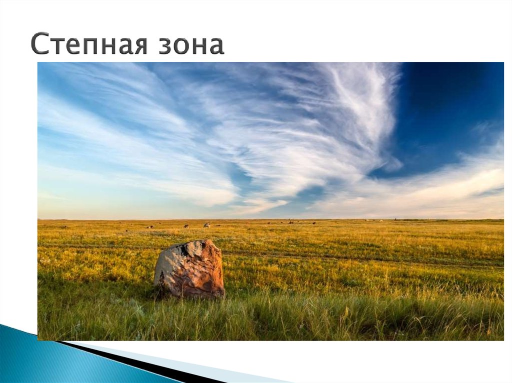 Степная зона