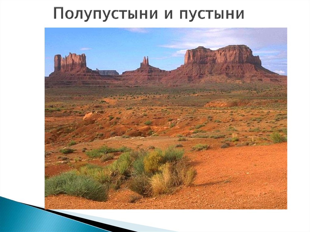 Полупустыни и пустыни