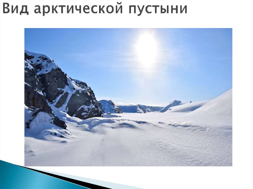 Вид арктической пустыни