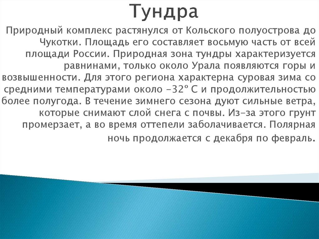 Тундра
