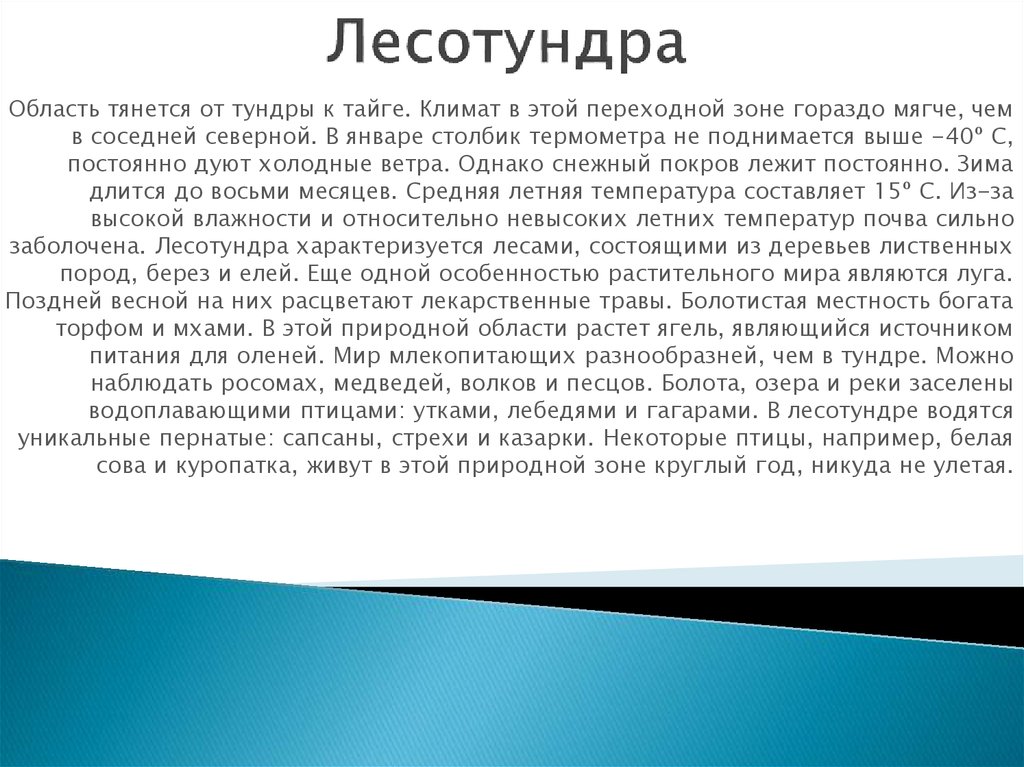 Лесотундра