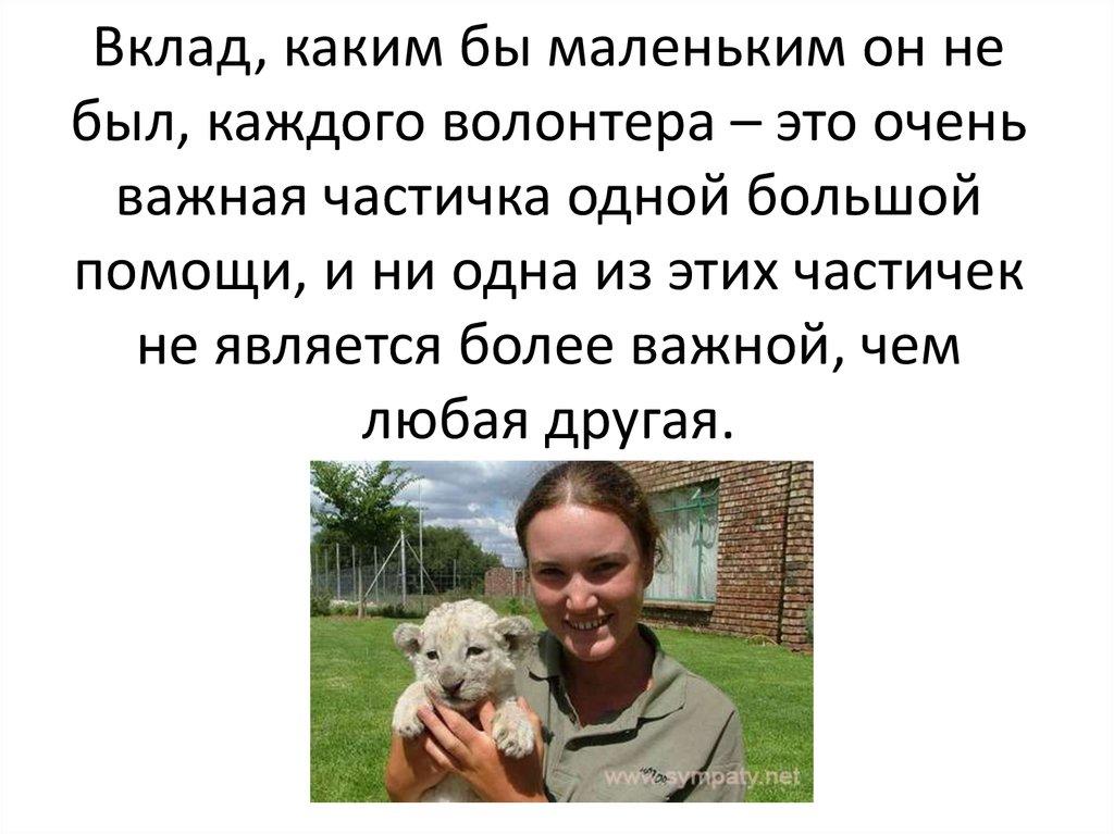 Вклад, каким бы маленьким он не был, каждого волонтера – это очень важная частичка одной большой помощи, и ни одна из этих