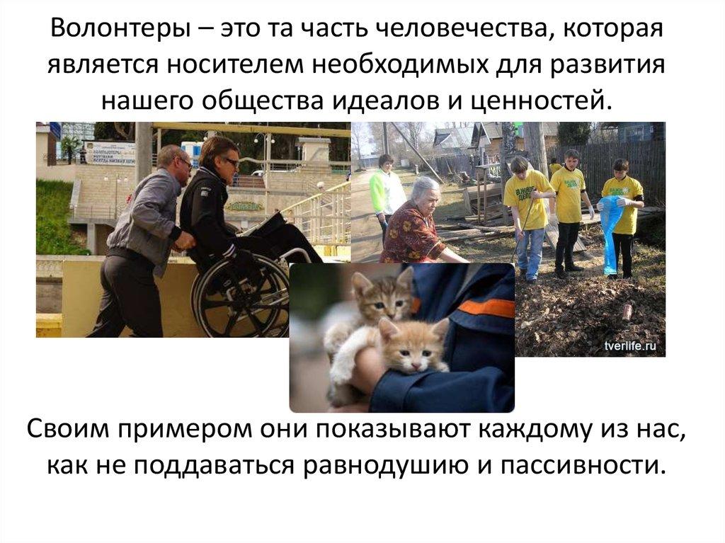 Волонтеры – это та часть человечества, которая является носителем необходимых для развития нашего общества идеалов и ценностей.
