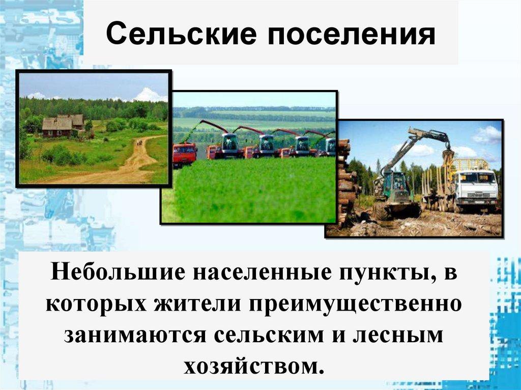 Сельские поселения