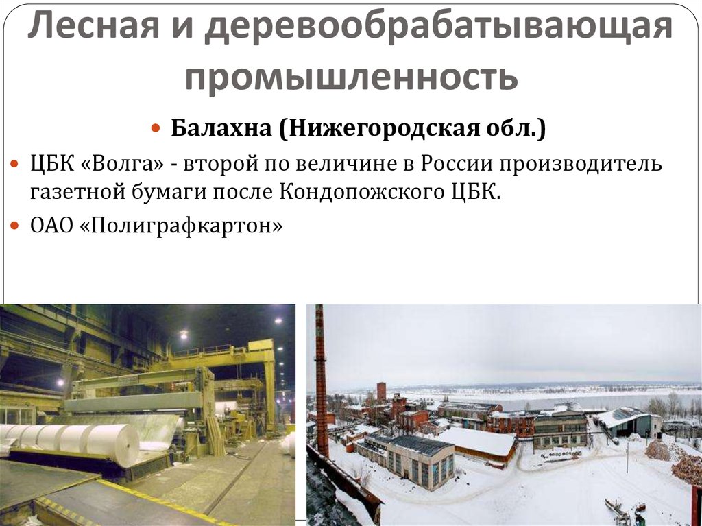 Лесная и деревообрабатывающая промышленность