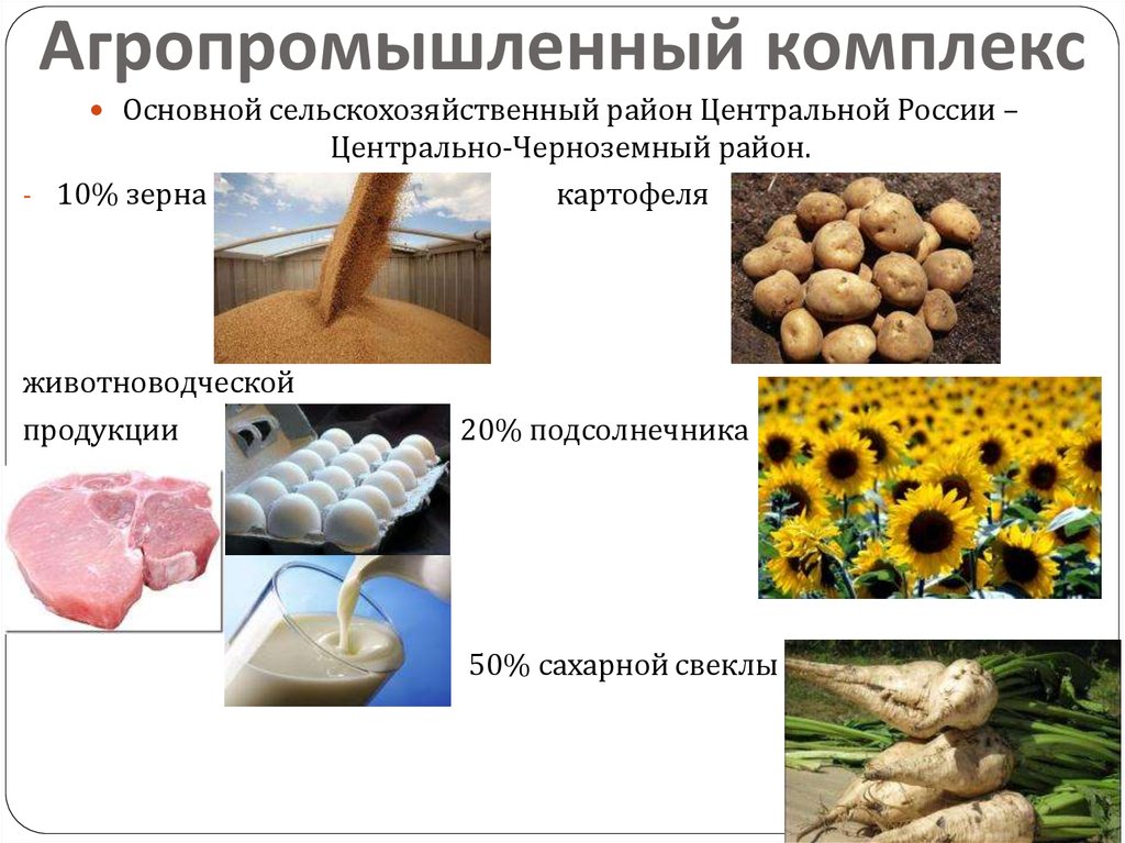 Агропромышленный комплекс
