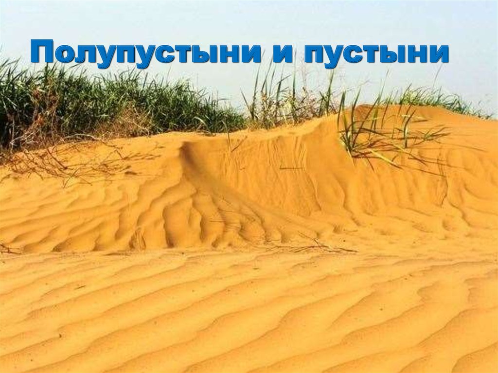 Полупустыни и пустыни