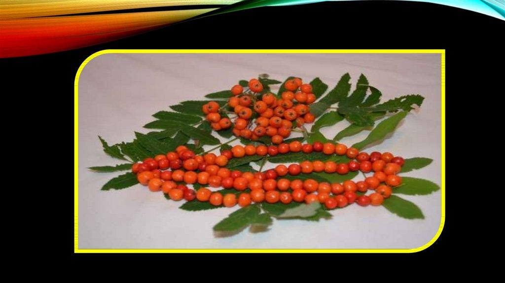 Рябиновые бусы