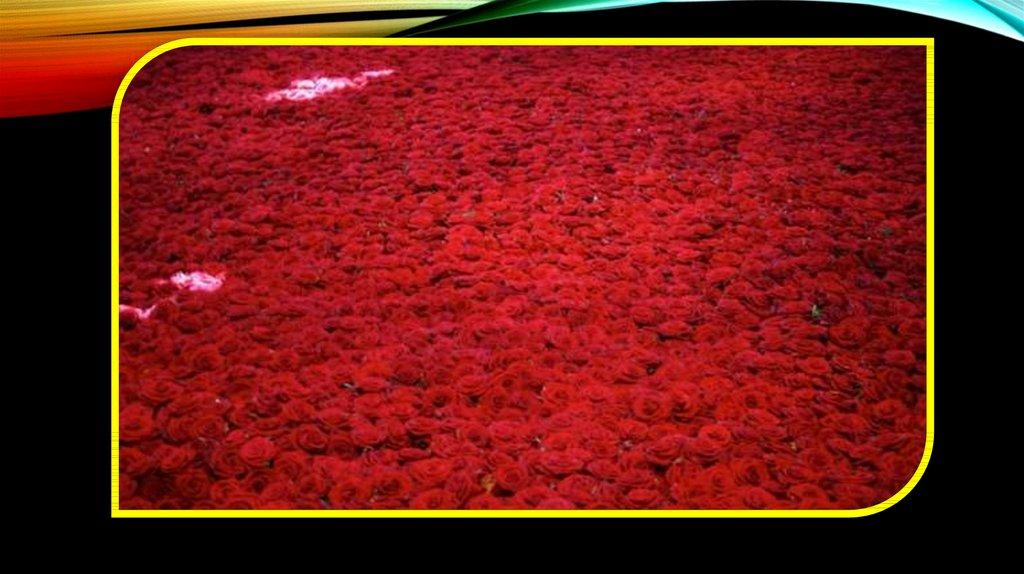 Миллион алых роз